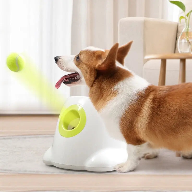 Automatic throwing machine 3/6/9m with 3 balls for dogs dog toys 