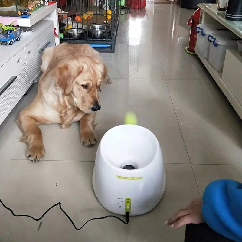 Automatic throwing machine 3/6/9m with 3 balls for dogs dog toys 